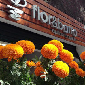 Ambientaciones Verdes | Flor y Barro