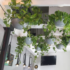 Cuidados Especializados