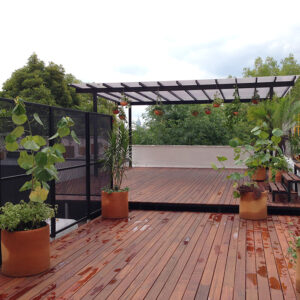 proyectos especiales