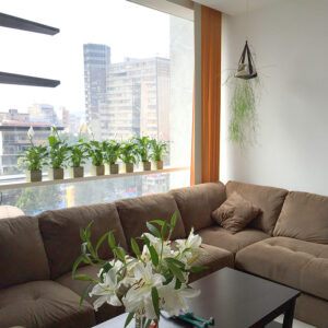 Servicio a domicilio